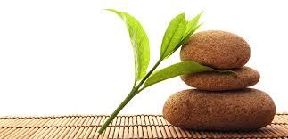 The Retreat at Brightleaf - 1