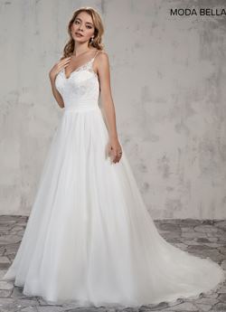 The Dress Theory - 1