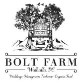 Bolt Farm Tree House - 1