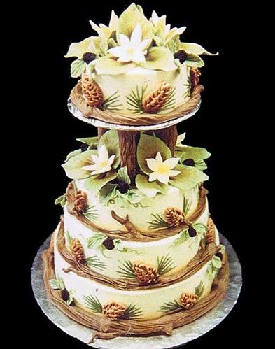 Mike's Amazing Cakes - 1