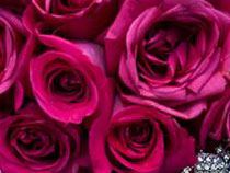 Posey Peddler Flowers - 1