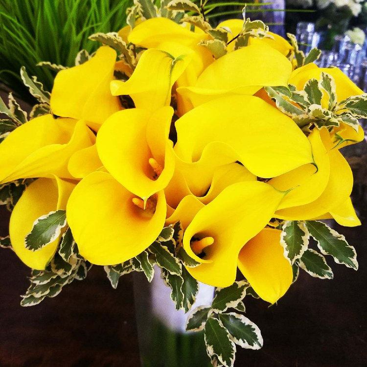 Rhonda Nichols Floral Design - 1