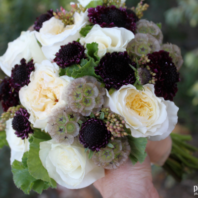 Plum Sage Flowers - 1