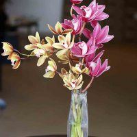 Petals A Florist - 1