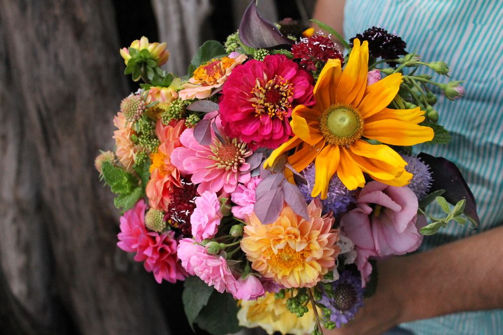 Pistil and Stamen Flower Farm and Studio - 1