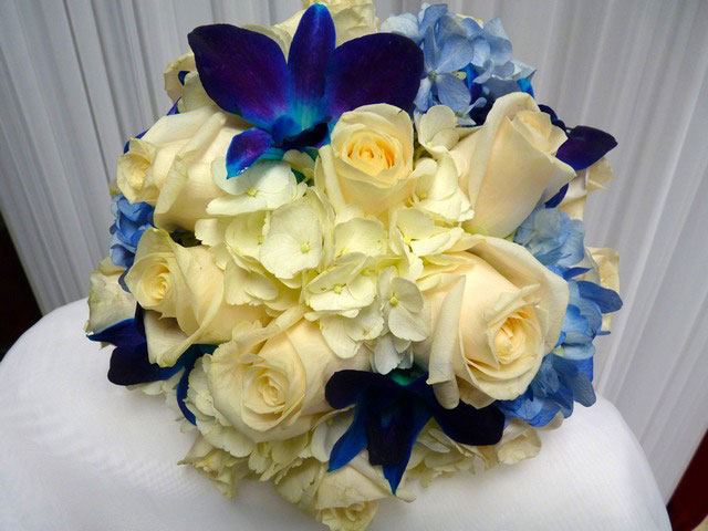 Petals and Leaves - 1