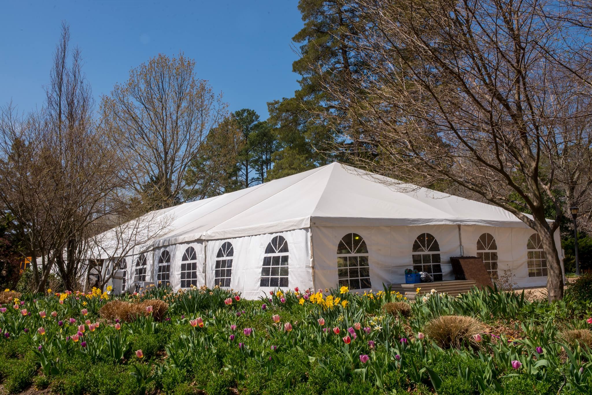 Williamsburg Event Rentals - 1