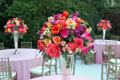 Charleston Blooms - Wedding Florists - 1