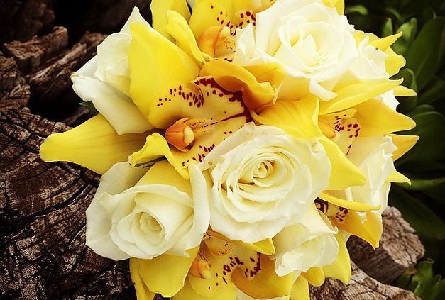 Meridian Floral and Gifts - 1