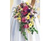 Petal Creations Inc - 1