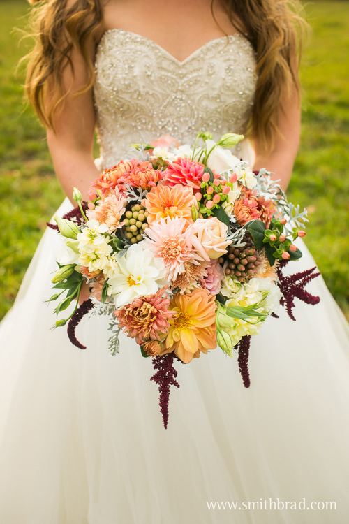 Robin Hollow Farm - 1