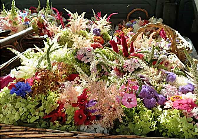 Alda's Flowers Full Service - 1