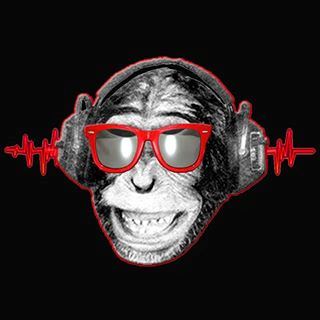 Discosapien Weddings - 1