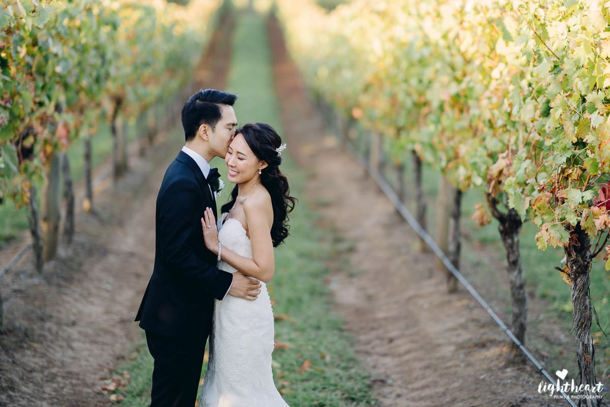 Lightheart Films & Photography - 1