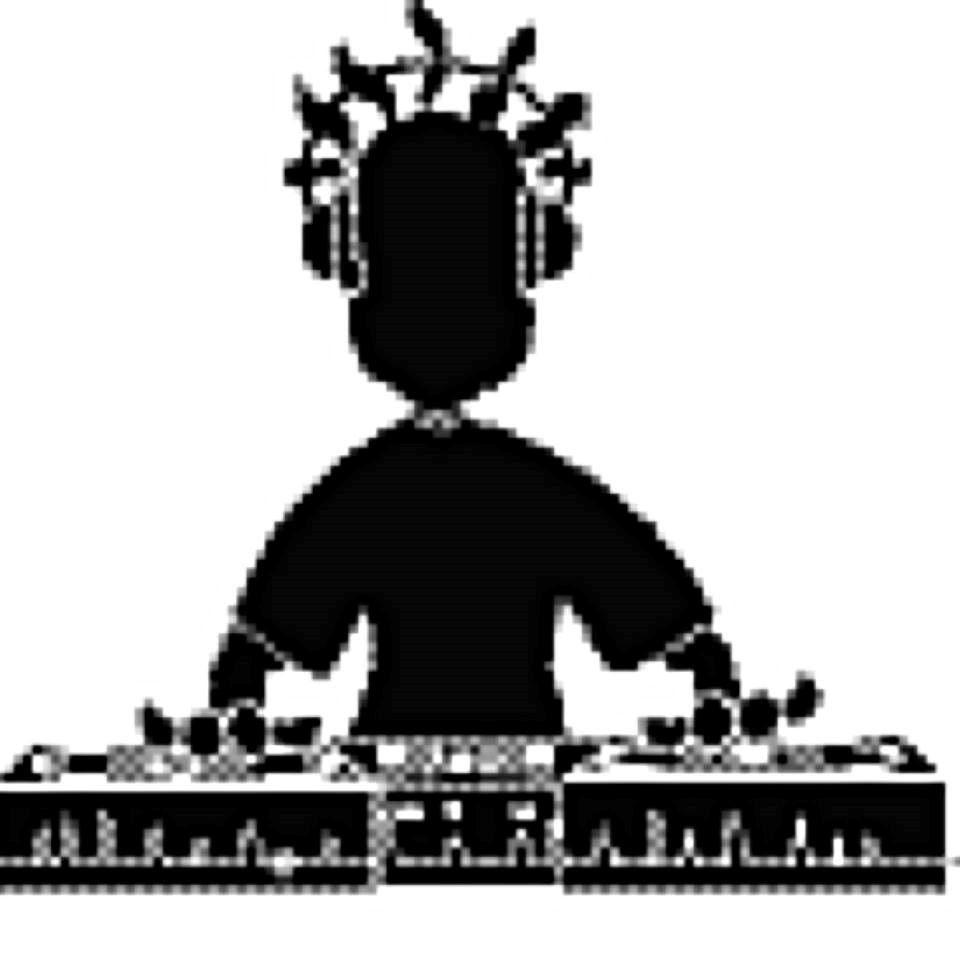 Digital Delight Professional DJ Services - 1