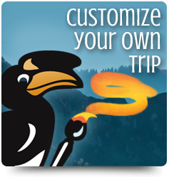 Journeys International, Inc. - 1