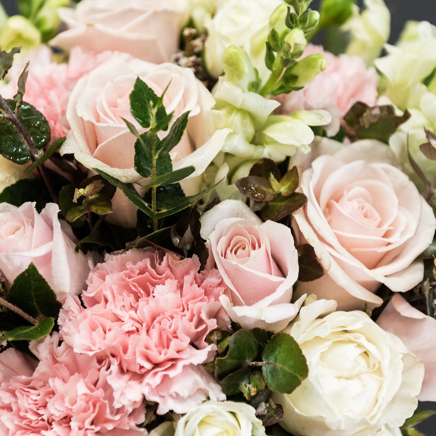 The Daisy Fair Flowers - 1