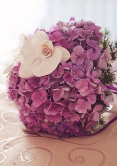 McCarthy Flowers - 1