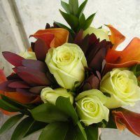 Palette of Petals LLC - 1