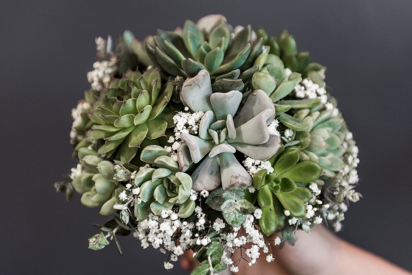 King William Florist - 1