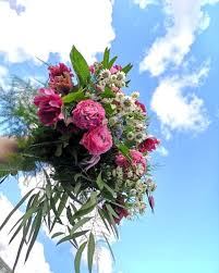 House of Flowers - 1