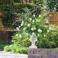 WildFlower + The Petal Pusher - 1