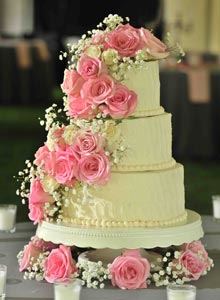 Under the Sun Bakery - 1