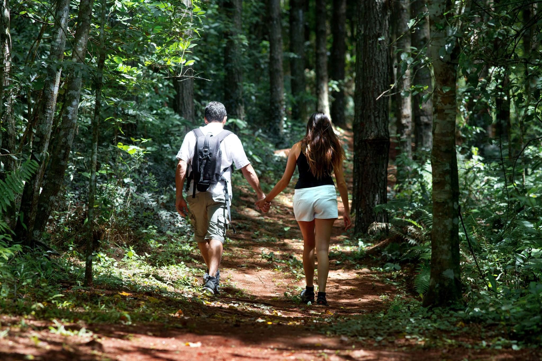 Posada Puerto Bemberg - 7