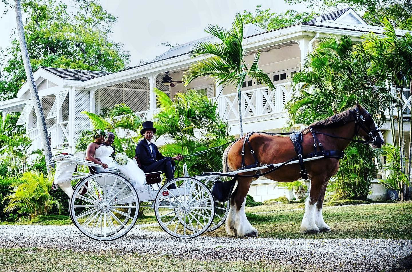 Bellevue Plantation - 3