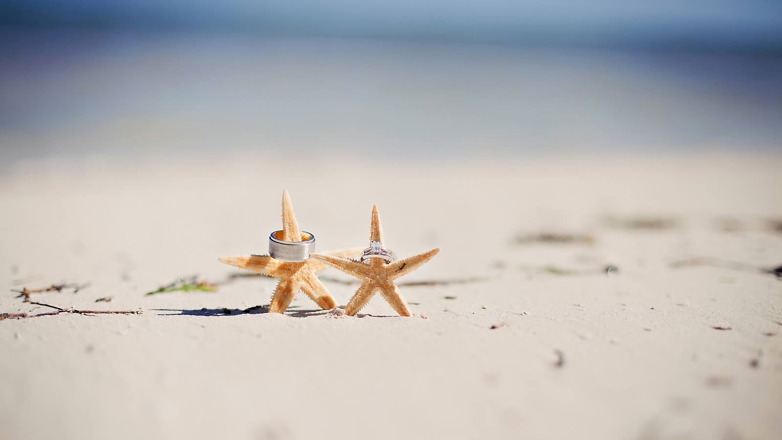 Pelican Reef Villas - 4