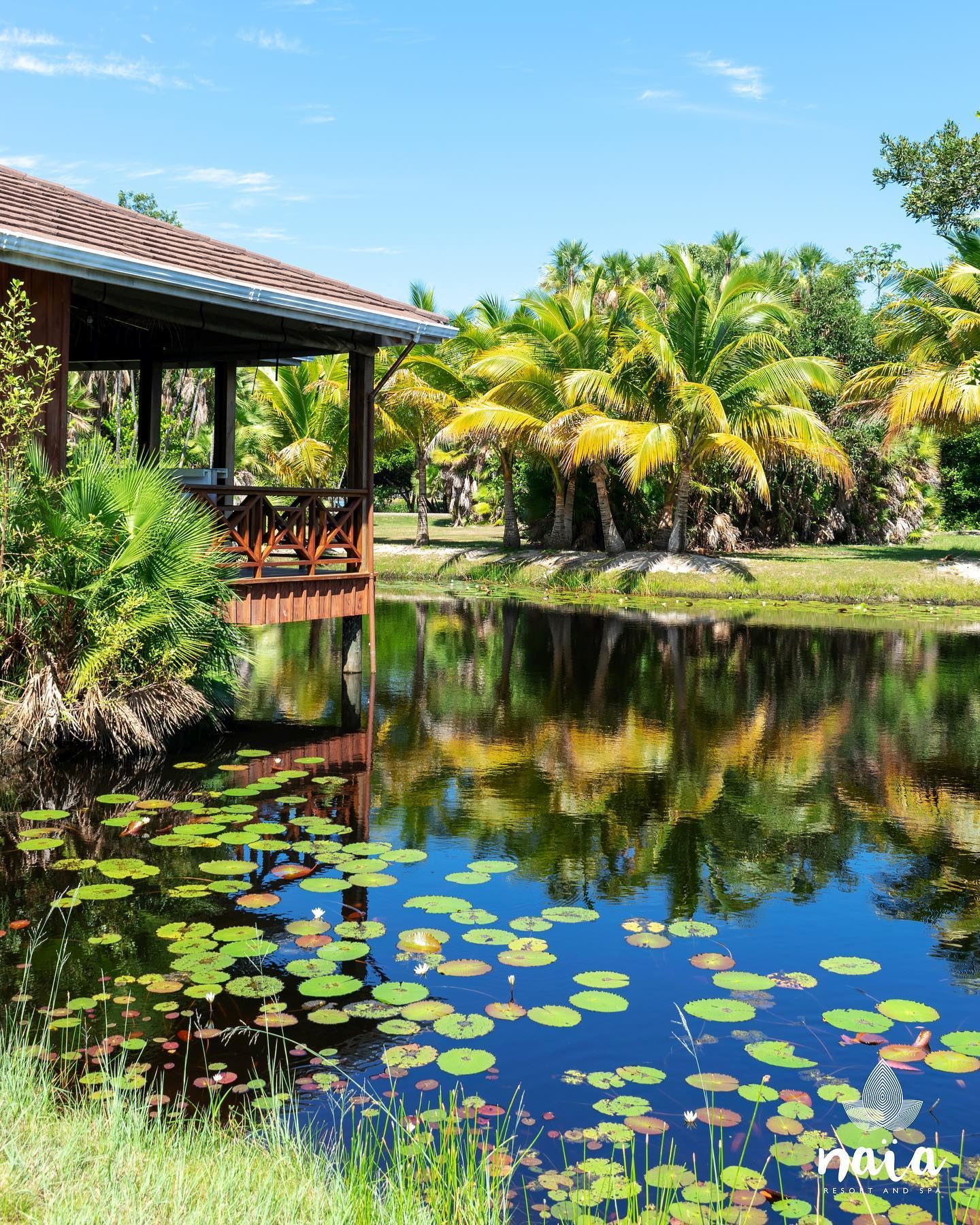 Naia Resort and Spa - 7