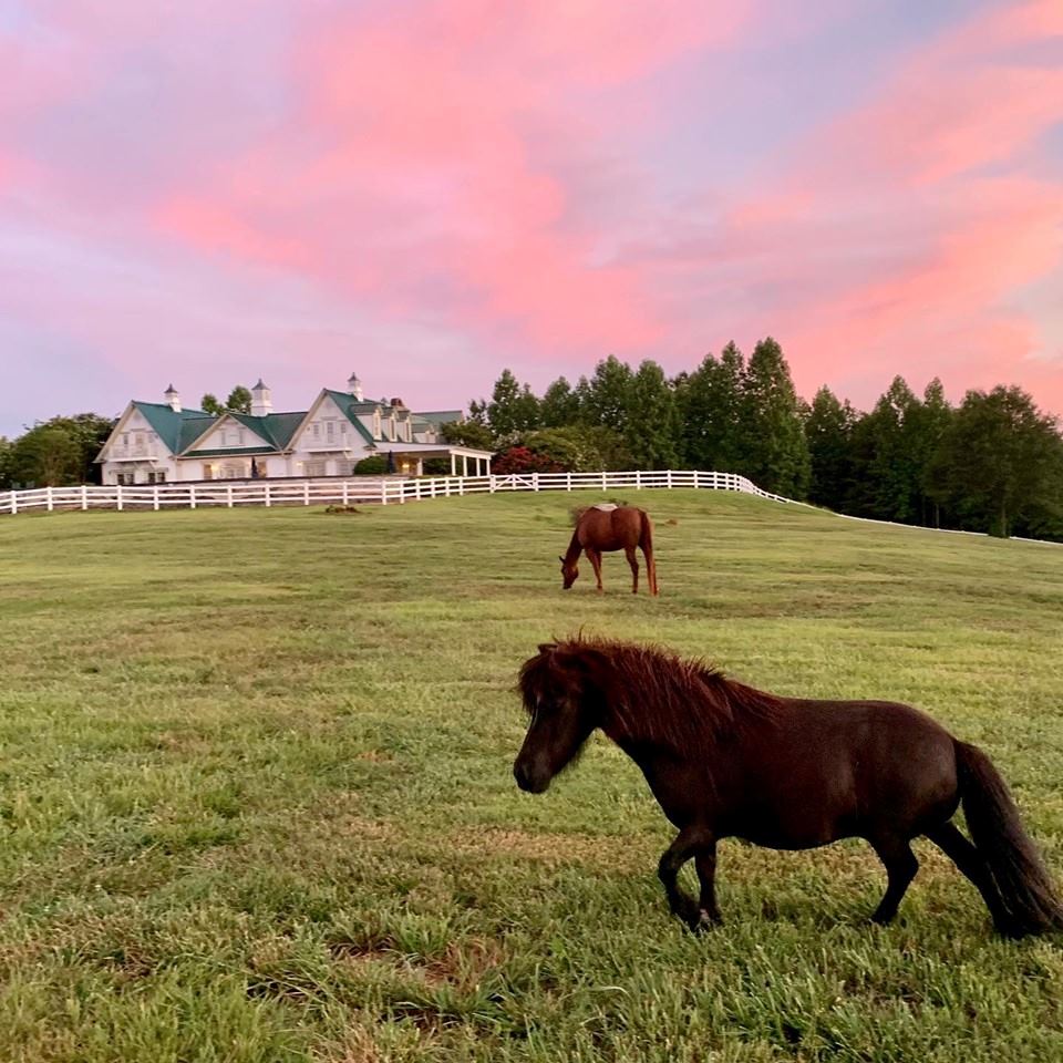 The Red Horse Inn - 5