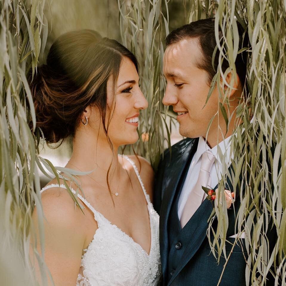 The Willows Farm - 7