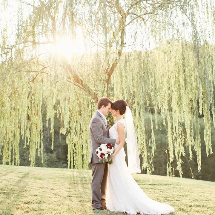 The Willows Farm - 2