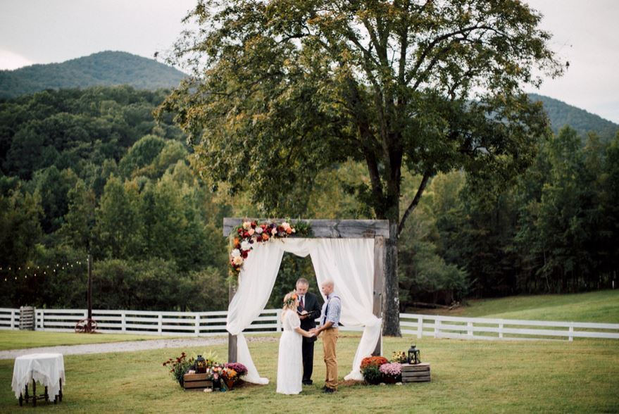 Mountain Laurel Farm - 3