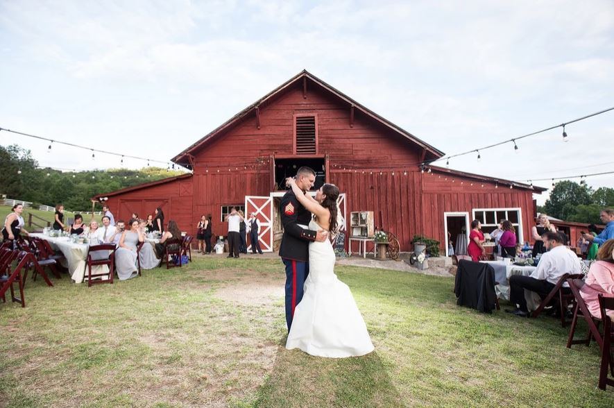 Mountain Laurel Farm - 4