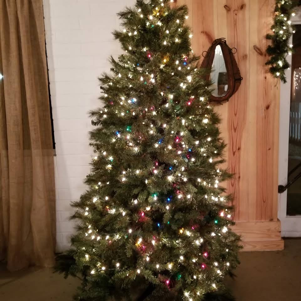 The Carolina Country Villa - 3