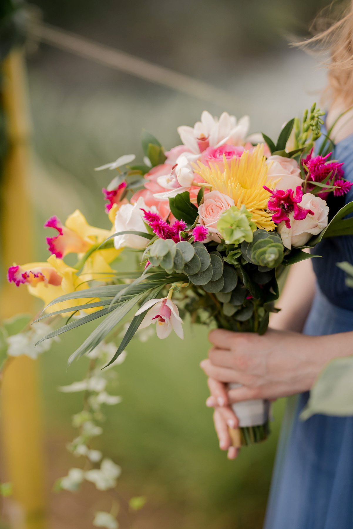 Secrets Papagayo Costa Rica - 5