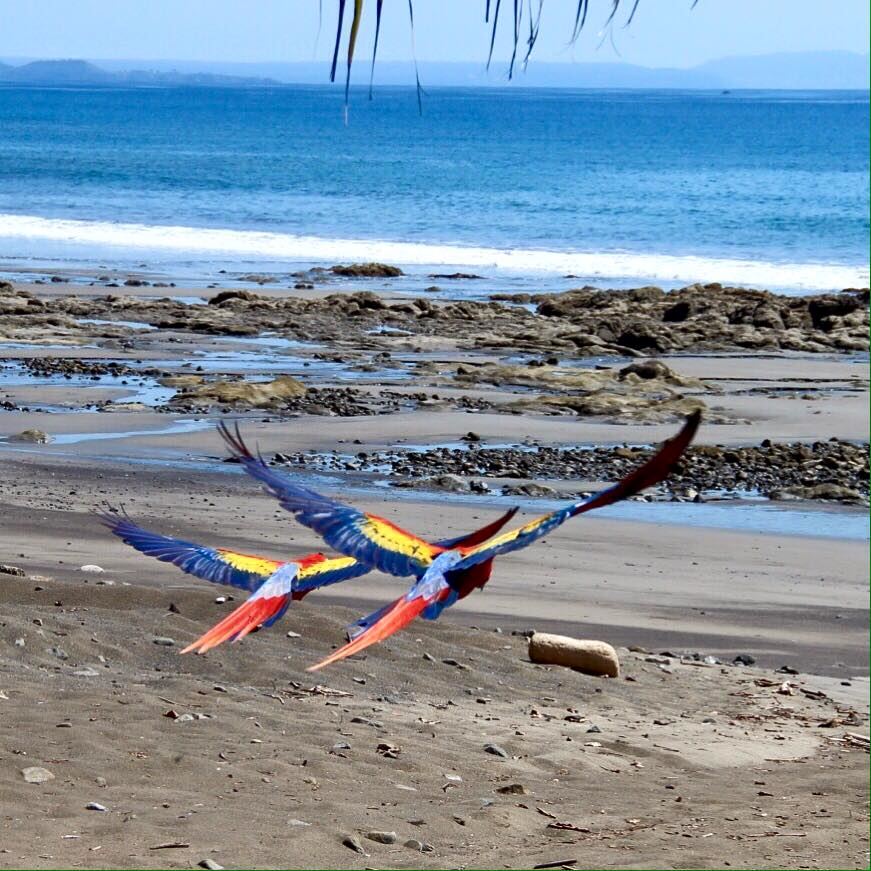 Hotel Punta Islita - 7