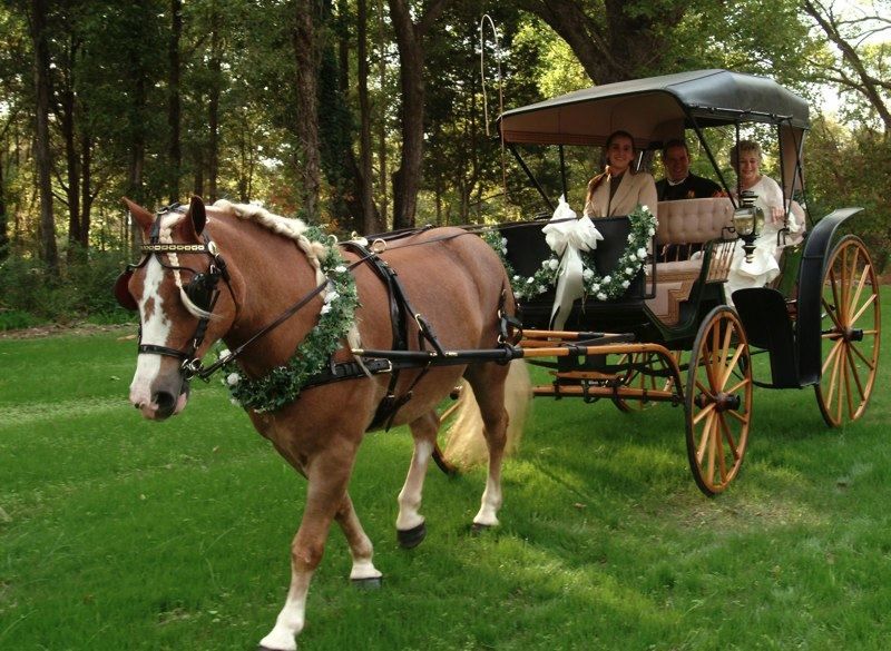 Timberlake Weddings and Receptions - 7