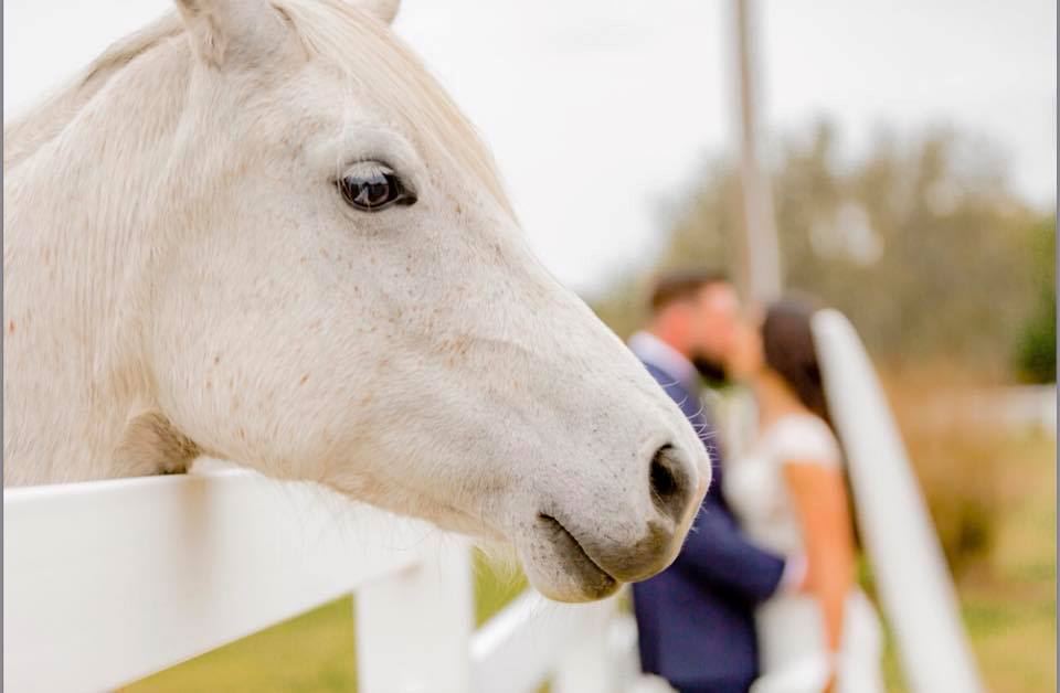 Rocking H Events - 4