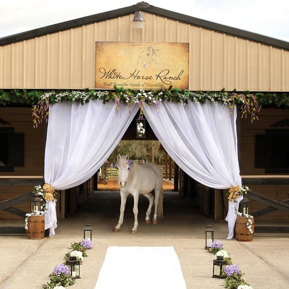 White Horse Ranch Venue & Boarding - 7