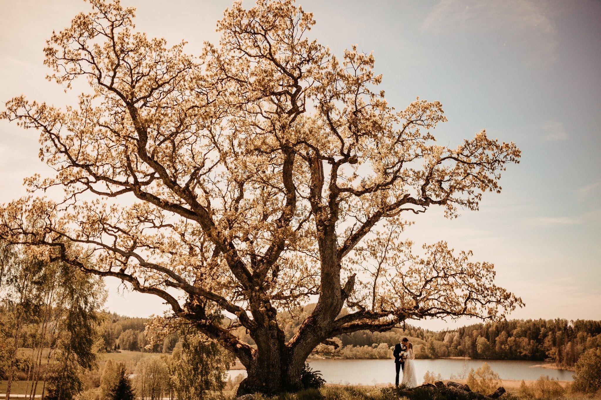 Villa Mullerbeck - 1