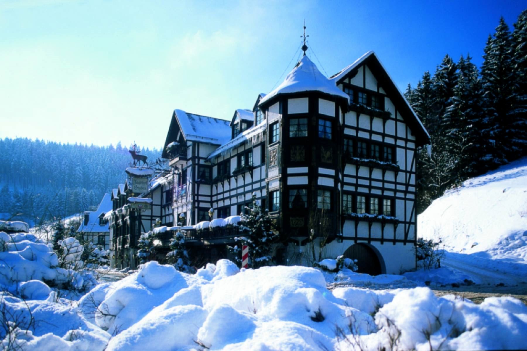 Relais &Chateaux Hotel Jagdhof Glashutte - 1