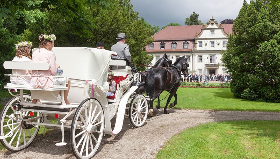 Wald & Schlosshotel Friedrichsruhe - 2