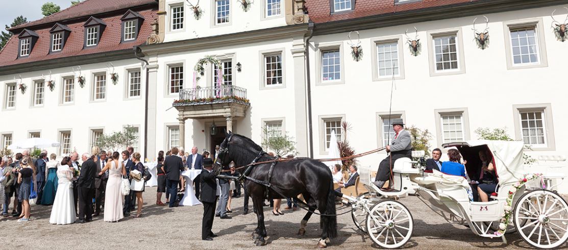 Wald & Schlosshotel Friedrichsruhe - 3