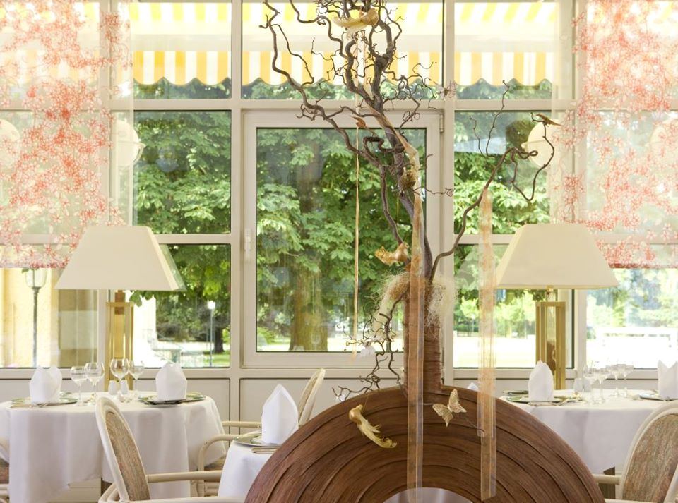 Steigenberger Hotel & Spa Bad Pyrmont - 4