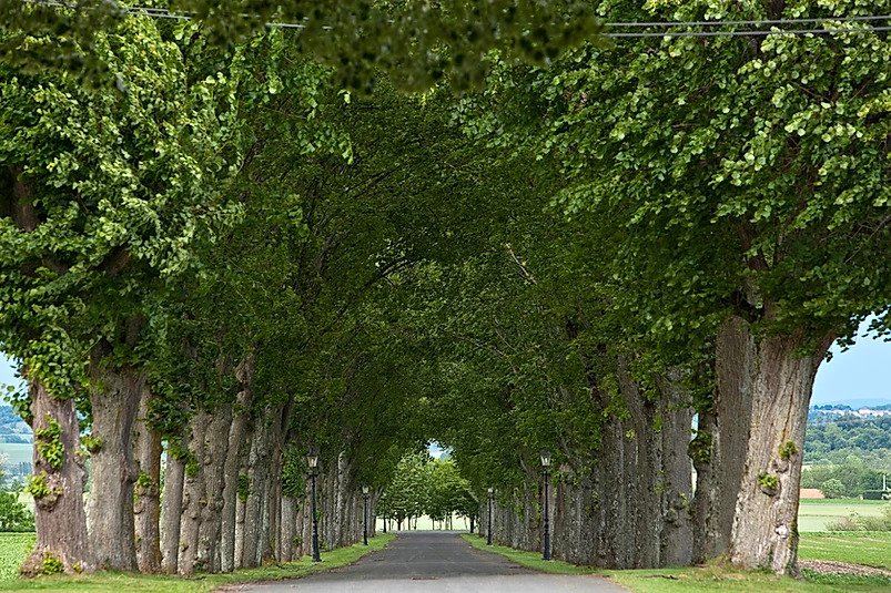 Chateau La Caniere - 3