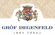 Castle Hotel Grof Degenfeld - 1