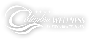 Calimbra Wellness and Conference Hotel - 1